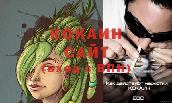 ГАЛЛЮЦИНОГЕННЫЕ ГРИБЫ Балахна
