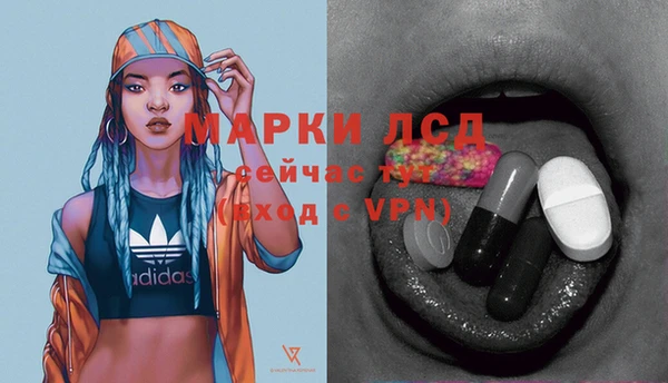 ГАЛЛЮЦИНОГЕННЫЕ ГРИБЫ Балахна