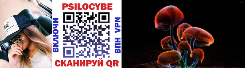 Псилоцибиновые грибы ЛСД  Нефтегорск 